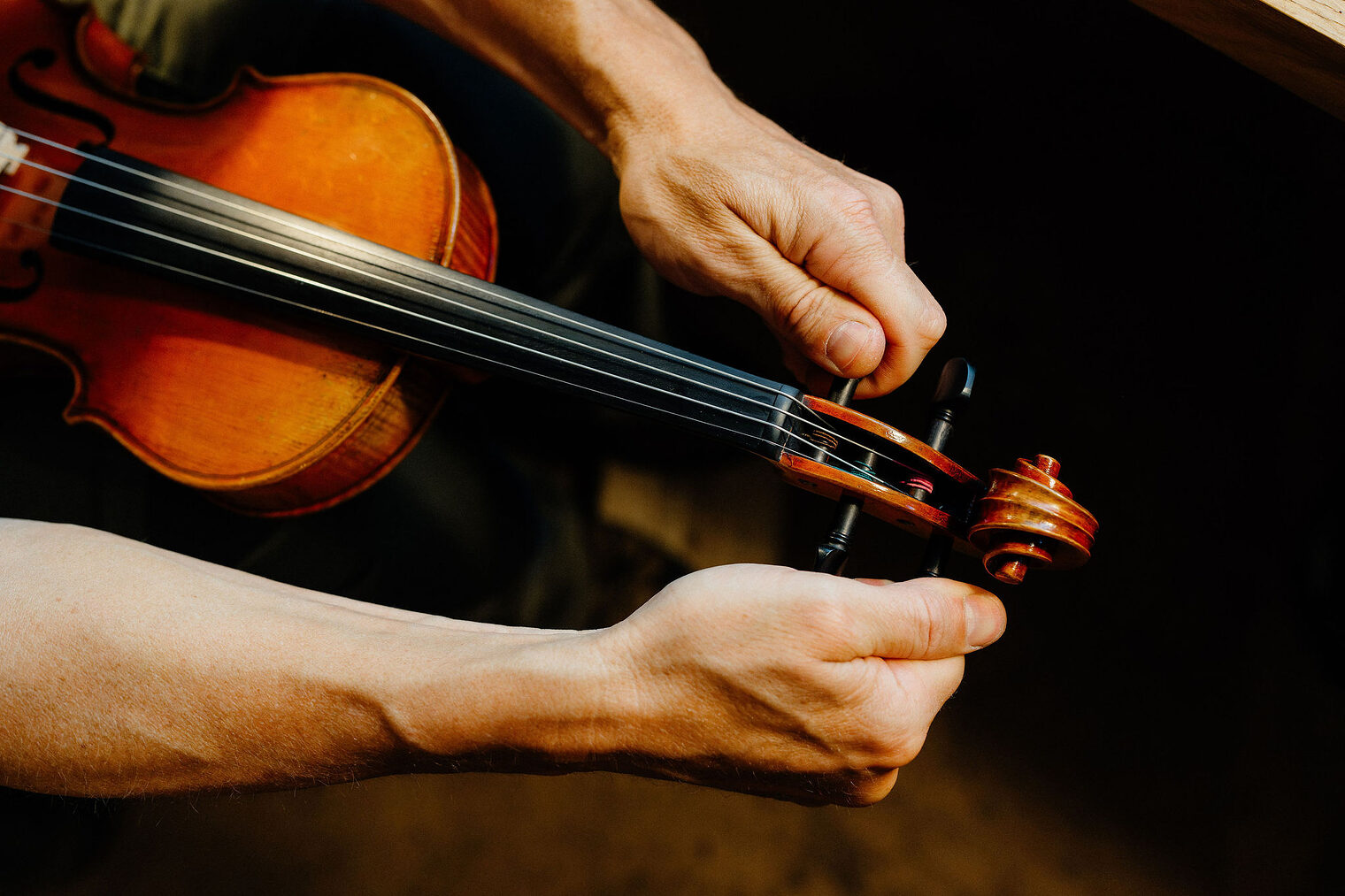 Ausbildung, Ausbildungsplätze 2024, Geigenbauer, Streichinstrument, Werkzeug, Handwerk, Lehrstellenbörse, Azubi, Handwerkskammer